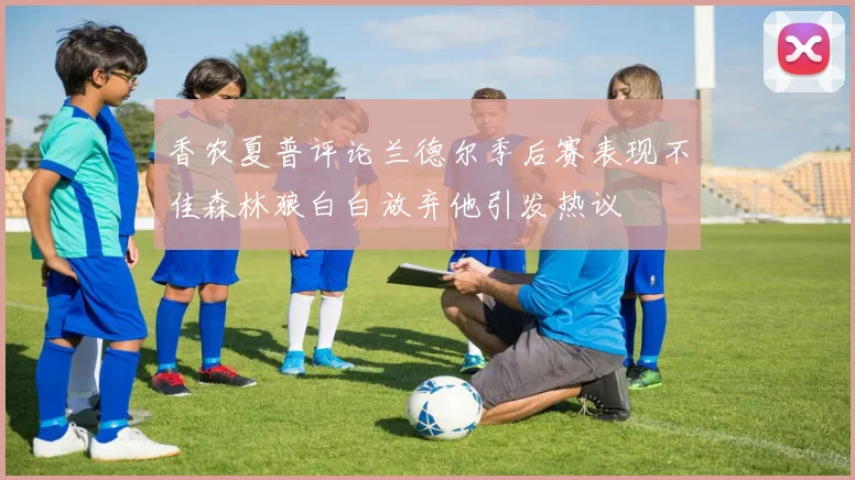 香农夏普评论兰德尔季后赛表现不佳森林狼白白放弃他引发热议