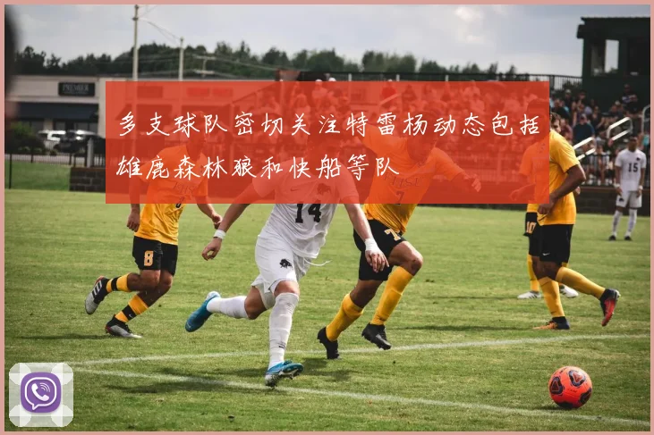多支球队密切关注特雷杨动态包括雄鹿森林狼和快船等队